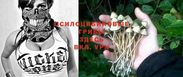гидропоника Абдулино