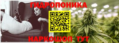 винт Можга