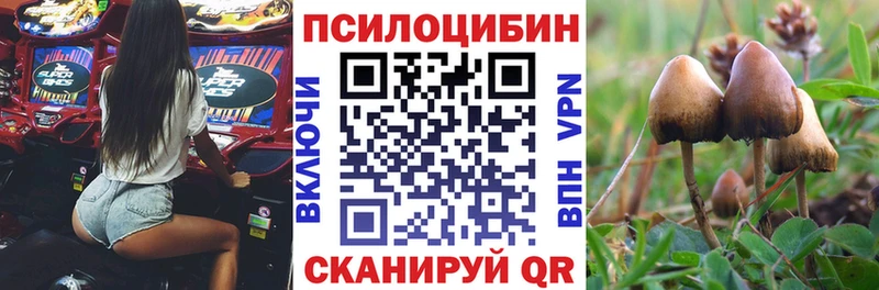 Псилоцибиновые грибы MAGIC MUSHROOMS  Элиста 