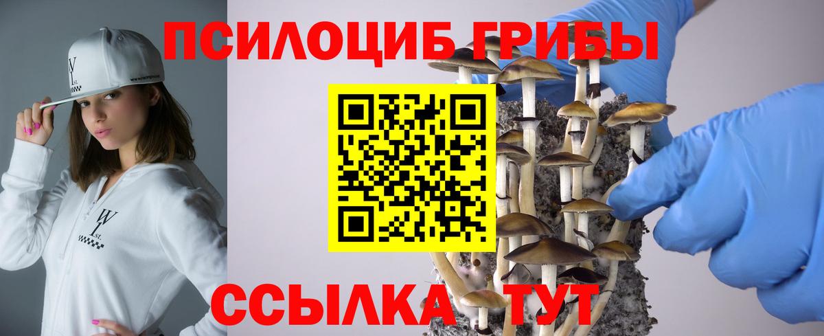Галлюциногенные грибы GOLDEN TEACHER Элиста