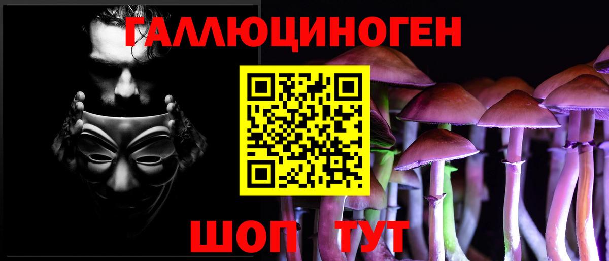 купить  сайты  Вход с VPN  Элиста  Галлюциногенные грибы Psilocybe 